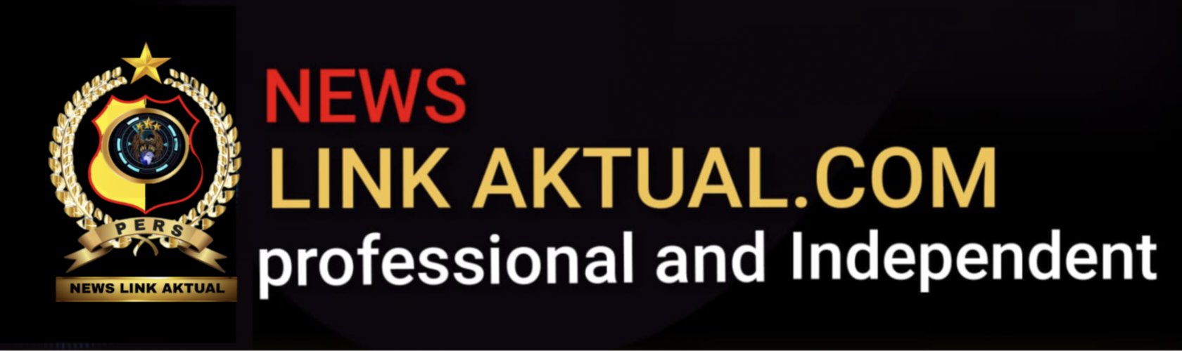 newslinkaktual.com